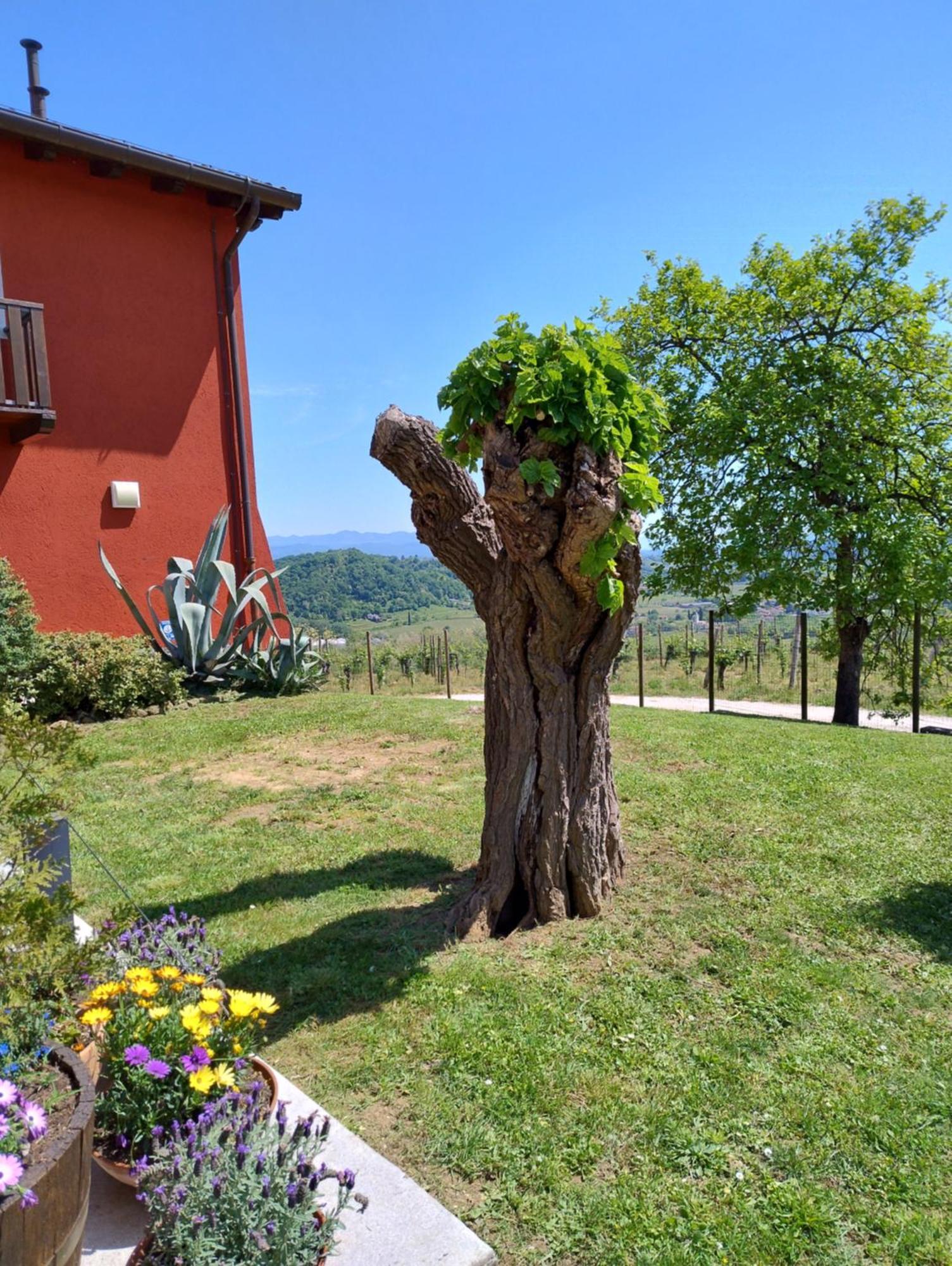 Le Badie Wine Resort Rosazzo Eksteriør bilde