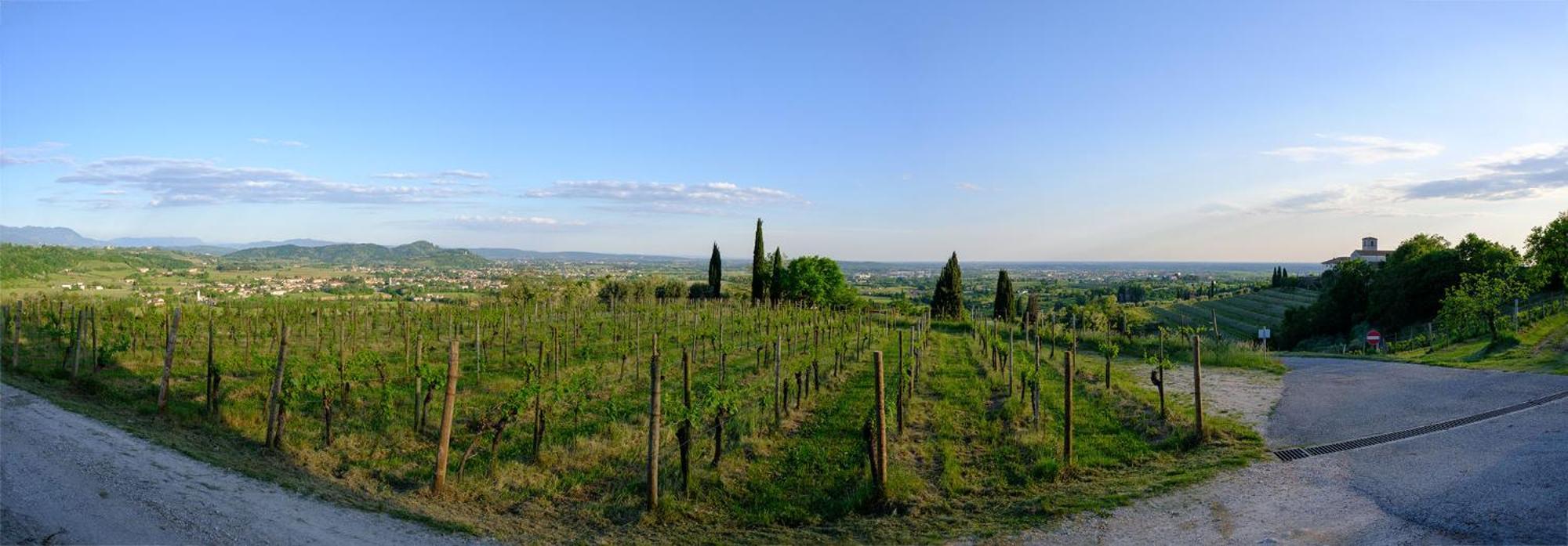 Le Badie Wine Resort Rosazzo Eksteriør bilde